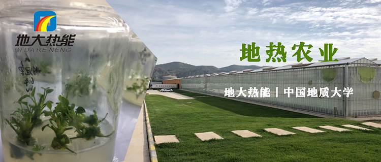 地?zé)嵩谵r(nóng)業(yè)中的綜合利用助力雙碳目標實現(xiàn)|地?zé)徂r(nóng)業(yè)-地大熱能