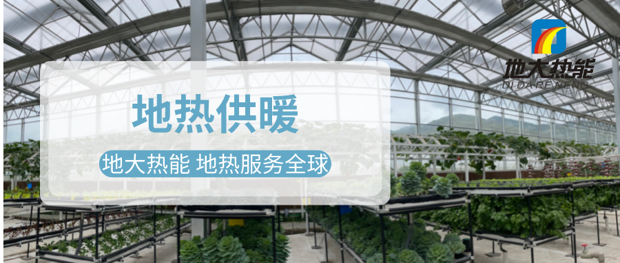發(fā)揮地熱資源優(yōu)勢，地熱農(nóng)業(yè)實現(xiàn)花卉產(chǎn)業(yè)特色發(fā)展 | 地大熱能 地熱服務(wù)全球