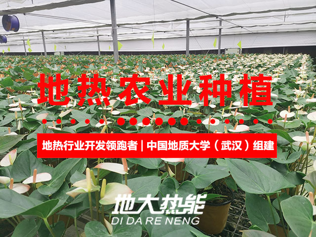 濟(jì)南：“地?zé)崮?農(nóng)業(yè)”產(chǎn)業(yè)融合，讓地?zé)崮苷嬲盁帷逼饋?lái)-地大熱能
