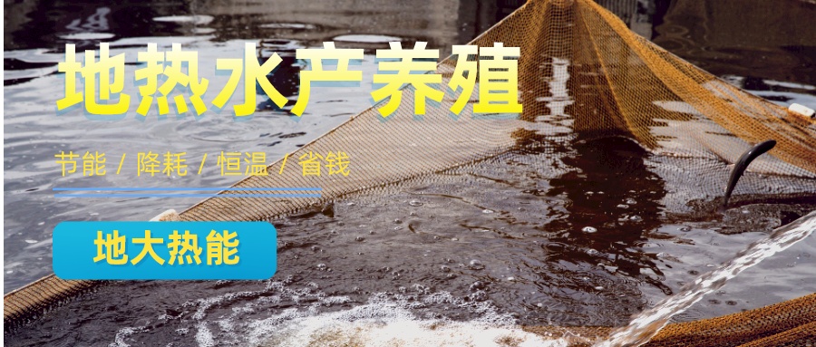 地熱水養(yǎng)殖小龍蝦：開啟特色養(yǎng)殖新篇章-地大熱能
